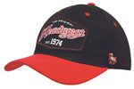 Headwear WA 4199 Brushed Heavy Cotton Cap