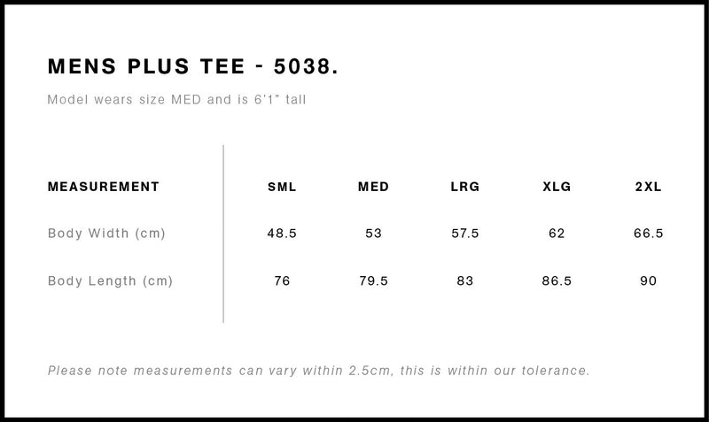 5038_PLUS_TEE_MAIN__size-guide