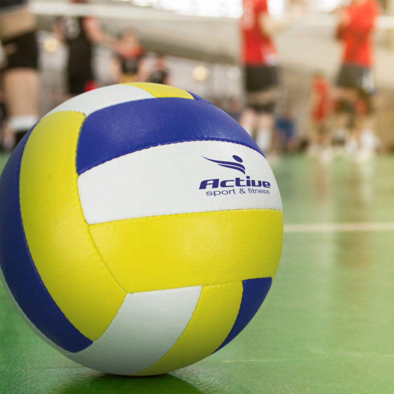 Trends 117256 Volleyball Pro – Feature