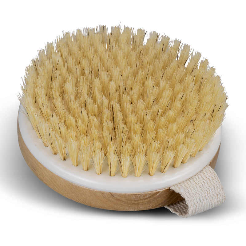 Trends 121408 Wooden Body Brush – Brush