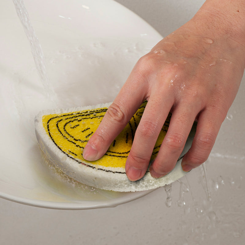 Trends 123106 Expandable Sponge – Feature