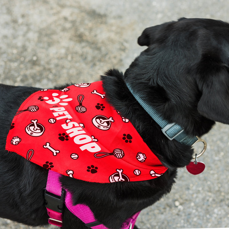 Trends 123660 Pet Bandana - Large – Feature