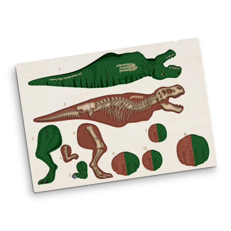 Trends 124055 BRANDCRAFT Tyrannosaurus Rex Wooden Model – Direct Digital