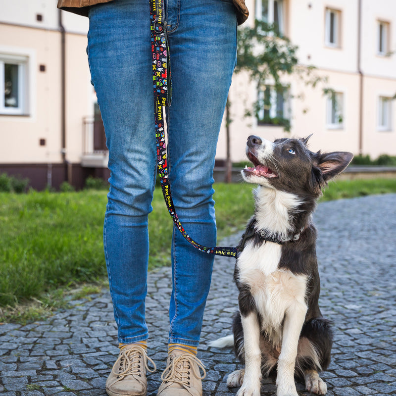 Trends 125069 Amigo Dog Leash – Feature