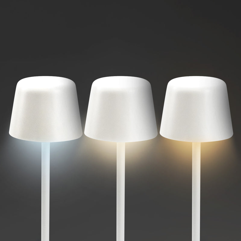 Trends 129643 Ember Rechargeable Table Lamp New – Light Options