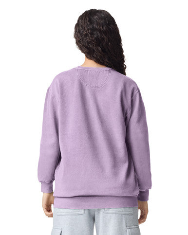 Comfort Colors 1566 Crewneck Unisex (S - 2XL) – product photo