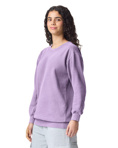 Comfort Colors 1566 Crewneck Unisex (S - 2XL) – product photo