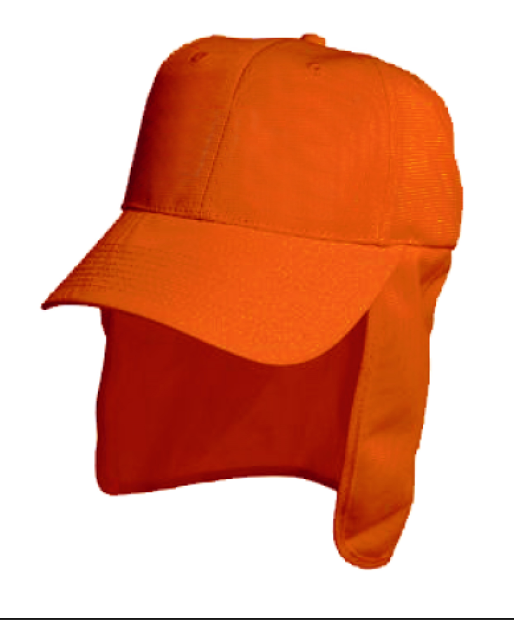Hiviz Orange