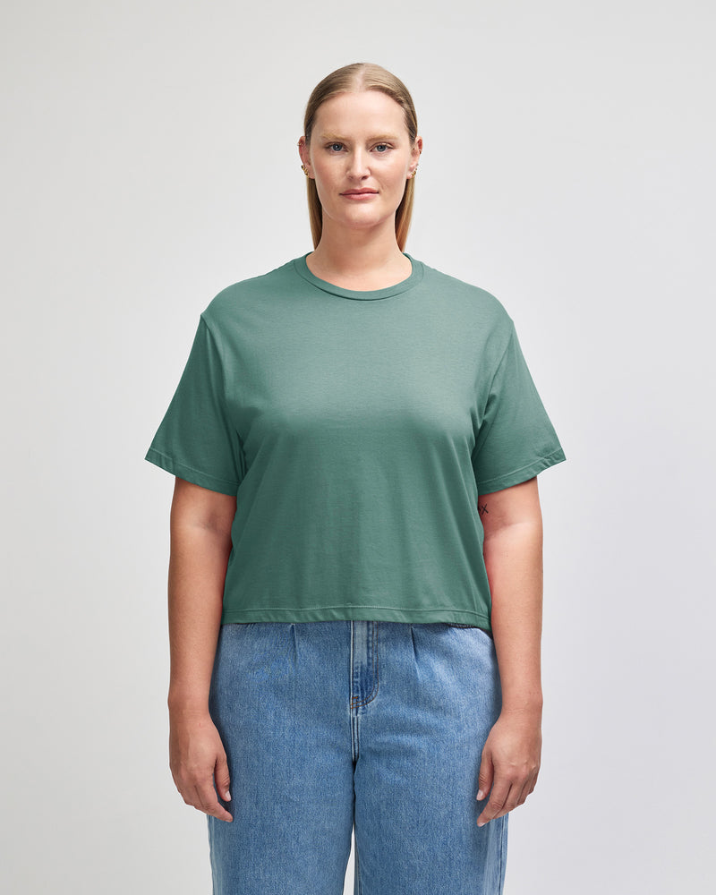 Arctic