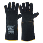 Black/Gold
