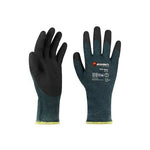 Blue/Black