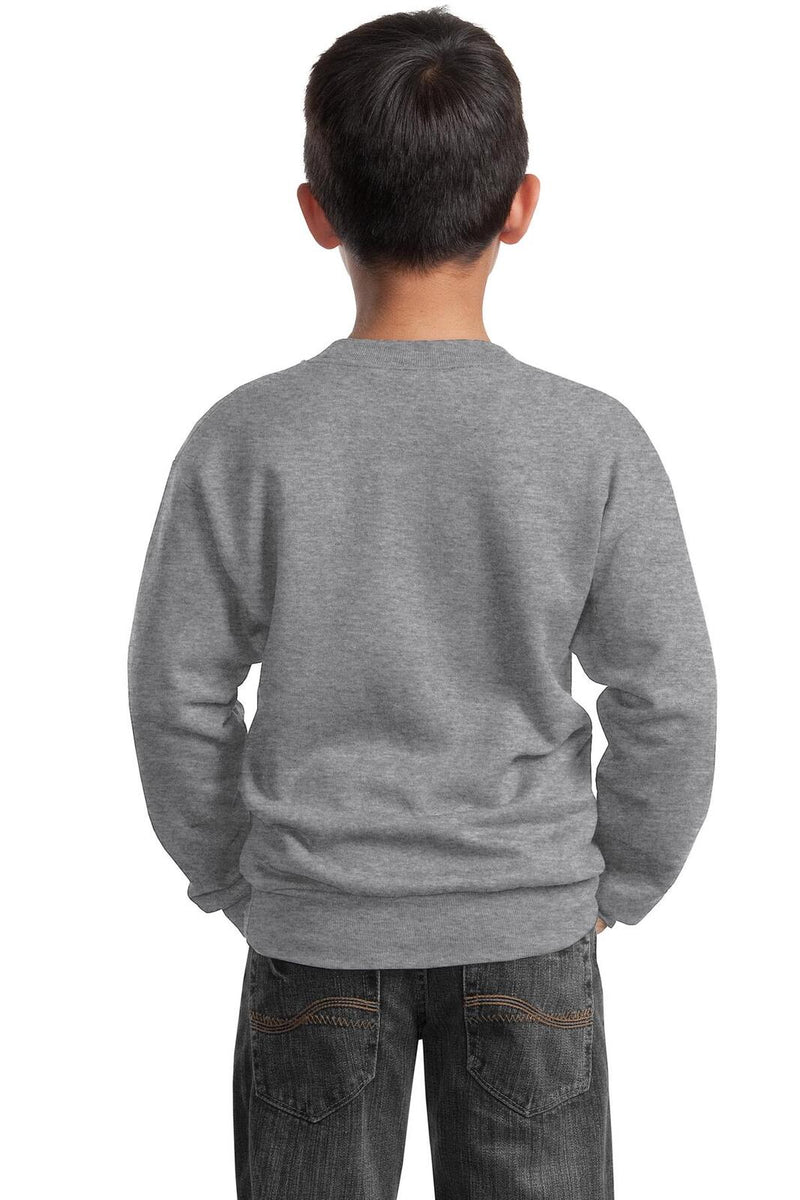 Port & Company PC90Y Core Fleece Crewneck Sweatshirt Kids – product photo