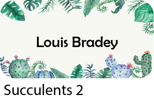 succulents 2